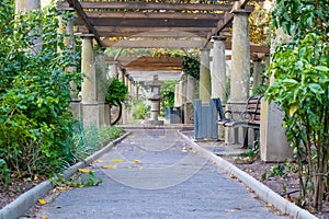 Beautiful outdoor architecture in Cape Town Gardens.