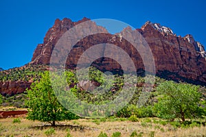 Beautiful outdoor view of huge mountains in Zion National Park, Utah, USA