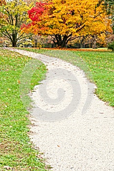 Beautiful outdoors - footpath in autumn park