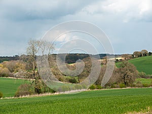 Beautiful outside country spring fields meadows trees sky farmland