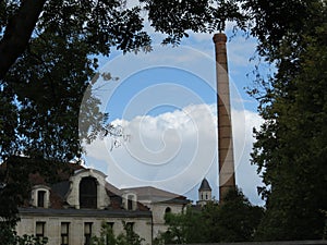 Beautiful oversized bark chimney looking up at the sky photo