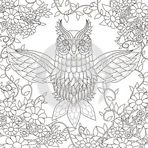 Beautiful owl coloring page