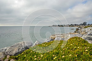 Beautiful Pacific coast, California