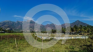 Beautiful paddy field and western ghats mountain range, kanyakumari, Tamil Nadu