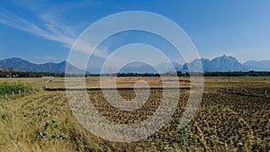 Beautiful paddy field and western ghats mountain range, kanyakumari, Tamil Nadu