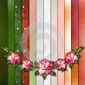 Beautiful painted rose on abstract background for congratulation