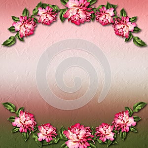 Beautiful painted rose on abstract background for congratulation