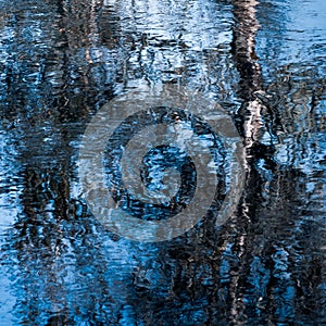 Beautiful painterly abstract of tree reflecting in water