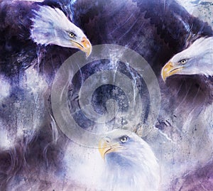 Beautiful painting of eagles on an abstract background collage..