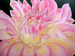 Beautiful painting of pink dahlia.