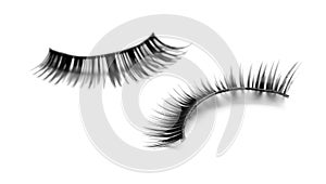 Beautiful pair of false eyelashes on white