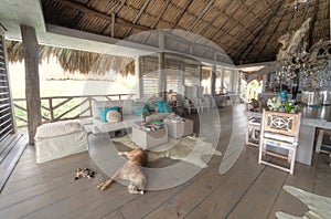 A beautiful Palapa House photo