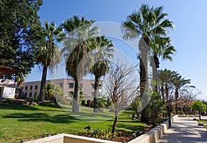 Beautiful palm garden. The hill of the Beatitudes near lake Tiberias in Israel, Catholic church of the Italian Franciscan convent