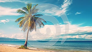 Beautiful palm tree on empty tropical island beach 1690444750692 2