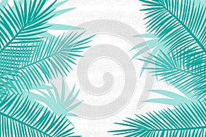 Beautiful palm tree leaf silhouette background