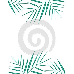 Beautiful palm tree leaf silhouette vector background illustration. Summer tropical palm tree leaves seamless pattern. Vector grun