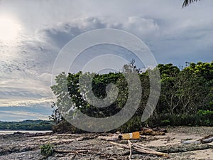 Beautiful palm tree lined shoreline beach in Santa teresa, Costa Rica.