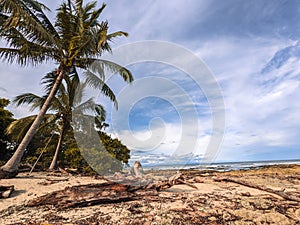 Beautiful palm tree lined shoreline beach in Santa teresa, Costa Rica.