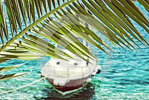 Beautiful palm tree and little boat in Maslinica, Croatia, retro