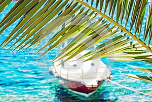 Beautiful palm tree and little boat in Maslinica, Solta