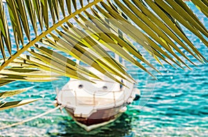 Beautiful palm tree and little boat in Maslinica, Solta, beauty