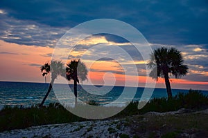 Beautiful Palm Tree Sunset Silhouette in Panama City Beach, Florida, USA