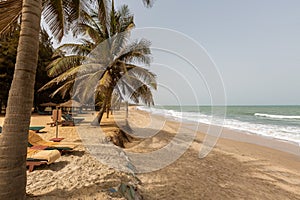 Beautiful palm trees on the beach by the wavy sea captured in Gambia, Africa