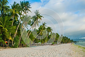 Beautiful palm trees on the White beach. Boracay island, Philippines