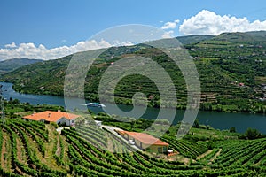 Beautiful panorama of the Douro River in Douro, Portugal