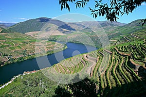 Beautiful panorama of the Douro River in Douro, Portugal