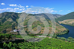 Beautiful panorama of the Douro River in Douro, Portugal