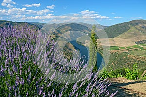 Beautiful panorama of the Douro River in Douro, Portugal