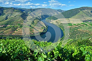 Beautiful panorama of the Douro River in Douro, Portugal