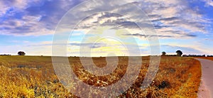 Beautiful panorama of a golden autmun landscape with trees and a blue sky