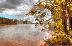 Beautiful panorama of a golden autmun landscape with trees and a blue sky