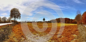 Beautiful panorama of a golden autmun landscape with trees and a blue sky