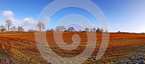 Beautiful panorama of a golden autmun landscape with trees and a blue sky