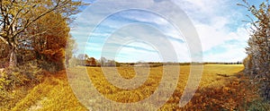 Beautiful panorama of a golden autmun landscape with trees and a blue sky