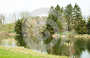 The beautiful panorama of green landscape with a lake
