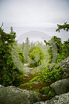 A beautiful panorama of lake and forest from Koli National park peaks