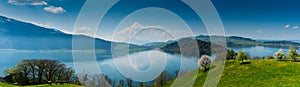 Beautiful panorama lakeside landscape in Switzerland with green fields and blossoming flowers and trees and mountains behind