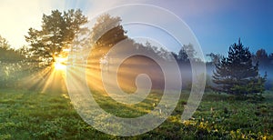 Panorama landscape with sun and forest and meadow at sunrise photo