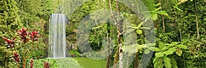 Beautiful panorama of Millaa waterfall, Australia