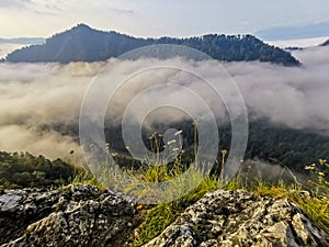 Beautiful panorama of the mountains in the fog, the river and the forest