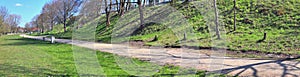 Beautiful panorama of spring landscapes with green grass and a clear blue sky