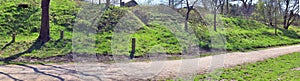 Beautiful panorama of spring landscapes with green grass and a clear blue sky