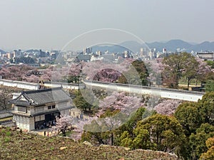 Beautiful panorama view of Himeji castle garden with Sakura cherry blossom trees and downtown