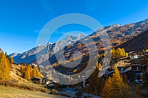 Beautiful panorama view of Zermatt town in the vally with snow covered peaks of Swiss Alps in background and golden trees forest