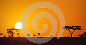 Beautiful panoramic african sunset in the Serengeti Park savannah plains, Tanzania, Africa