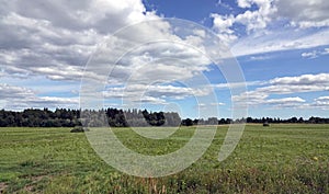 Beautiful panoramic countryside landscape with green field, mixed forest and white clouds on blue sky in the midday